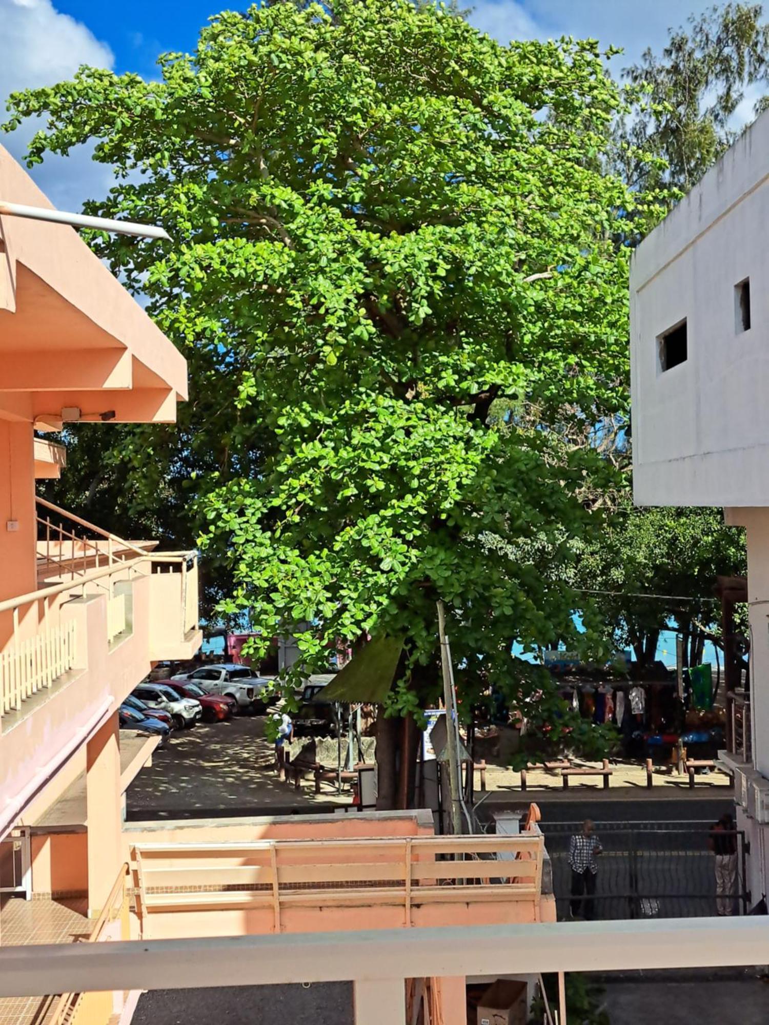 Bano Beach Residence - Grand Bay Beach Ngoại thất bức ảnh